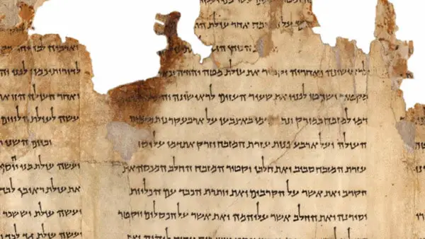 Hebrew literal translation bible