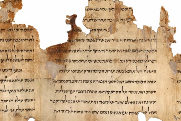 Hebrew literal translation bible