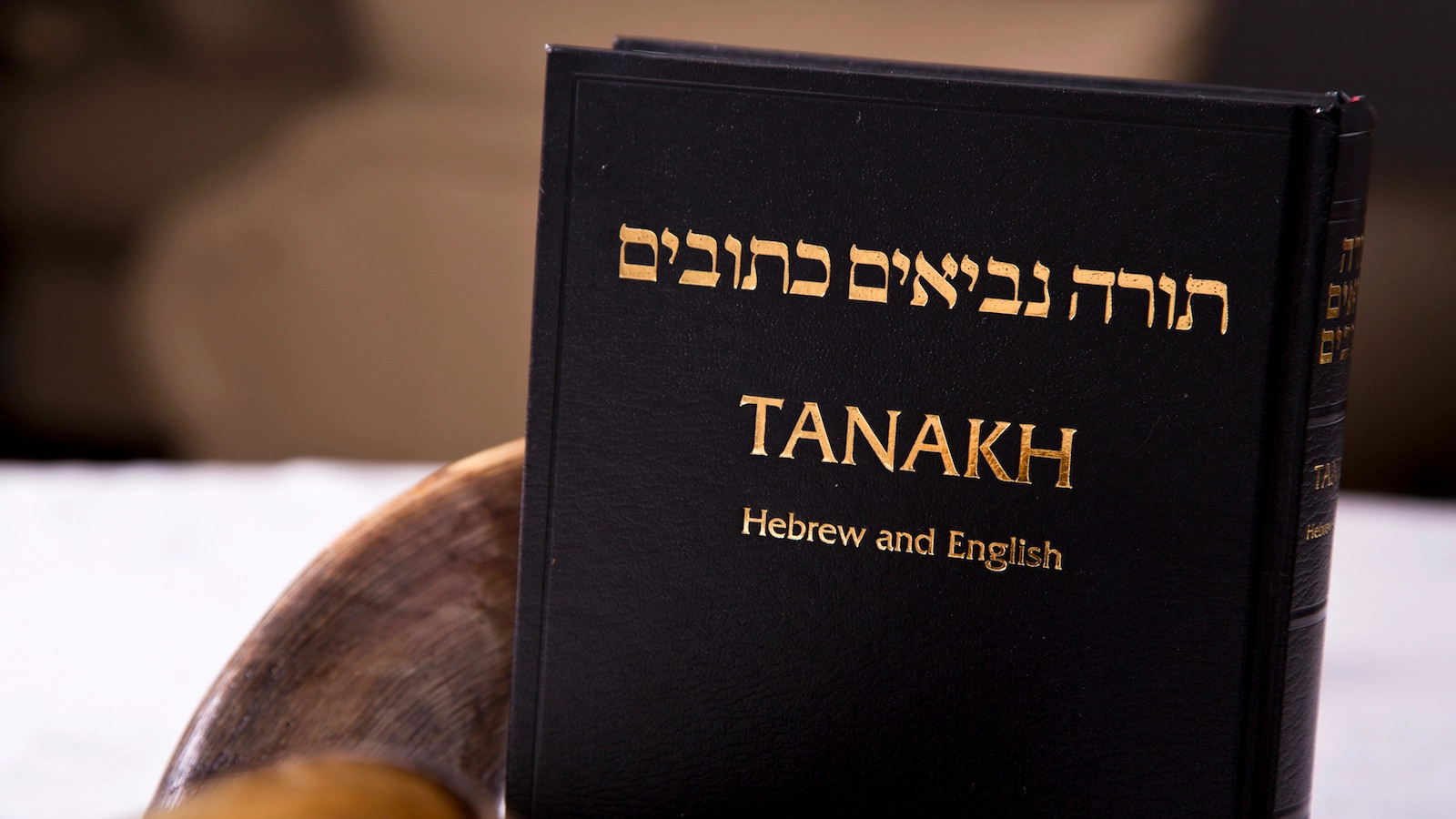 Hebrew english bible