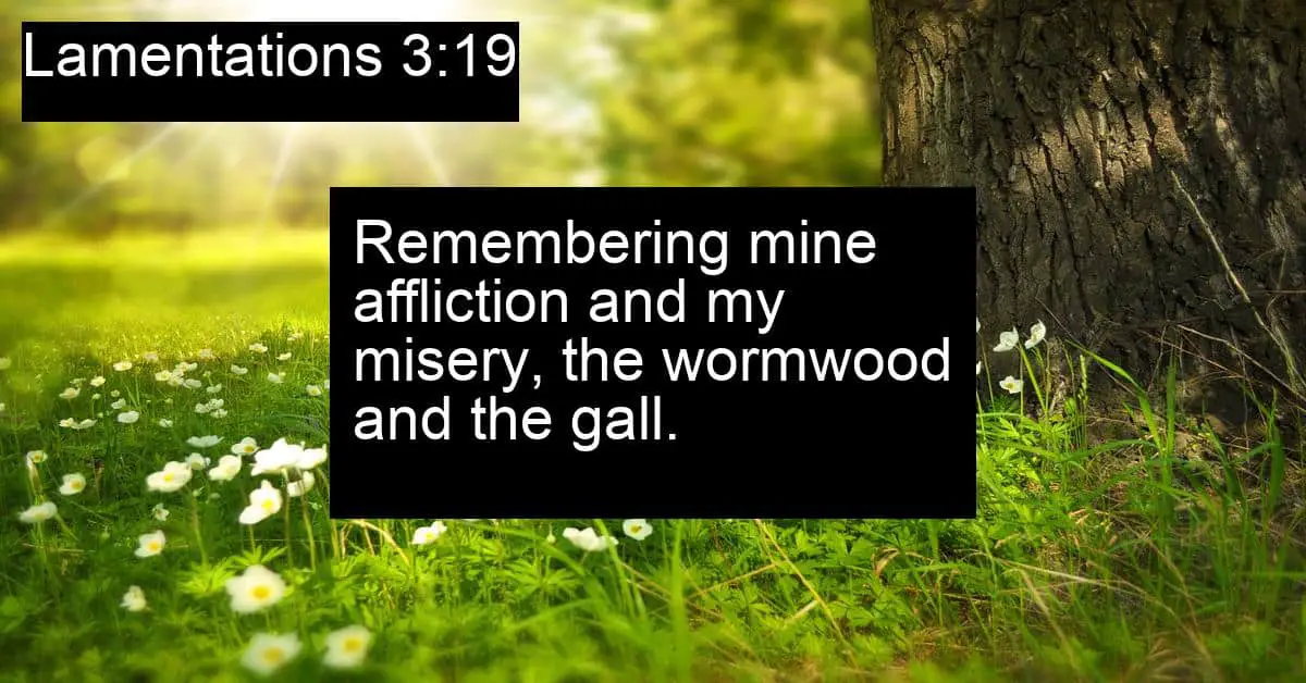 Lamentations 3:19