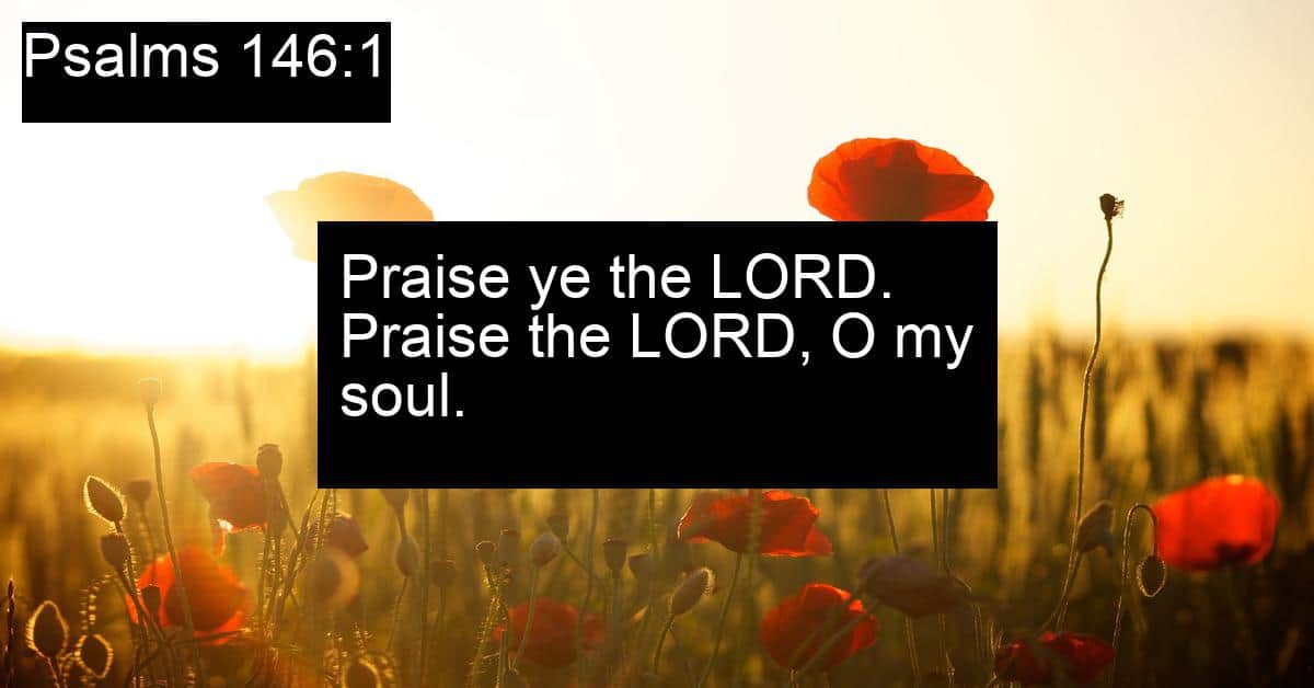 Psalms 146:1