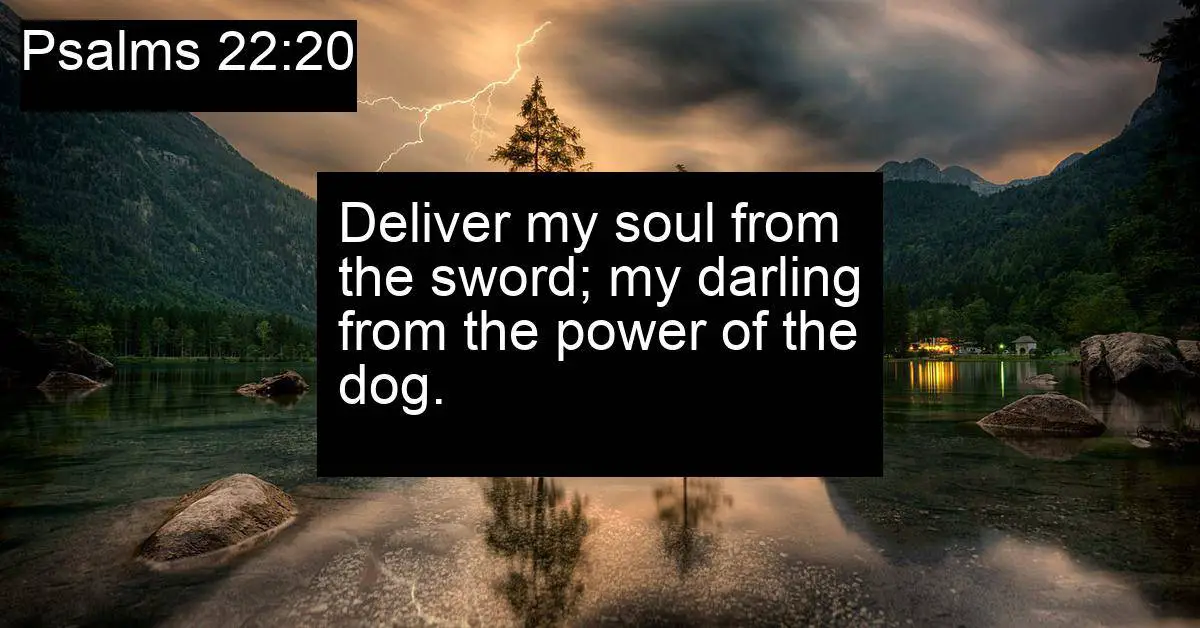 Psalms 22:20