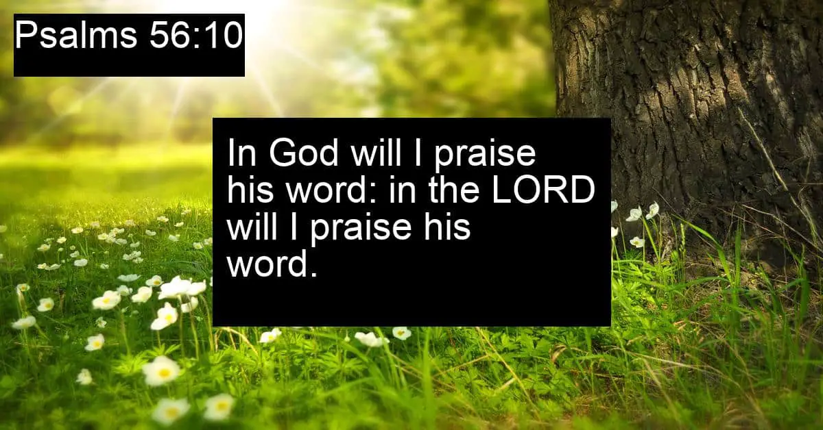 Psalms 56:10