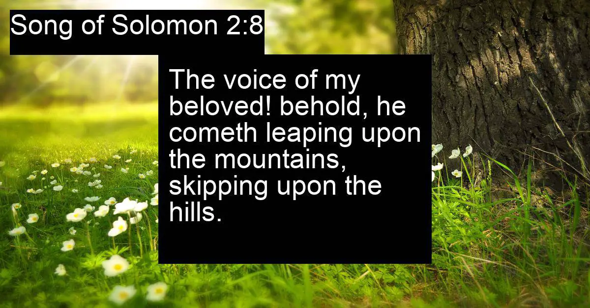 Song of Solomon 2:8
