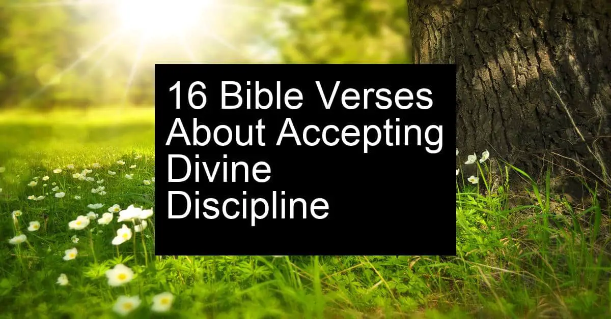 accepting divine discipline
