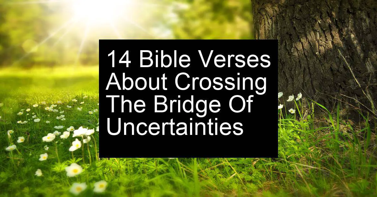 crossing the bridge of uncertainties