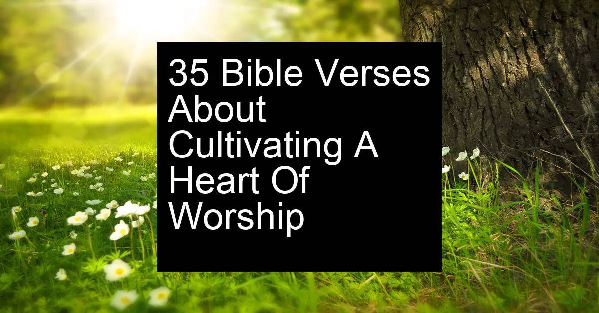 cultivating a heart of worship
