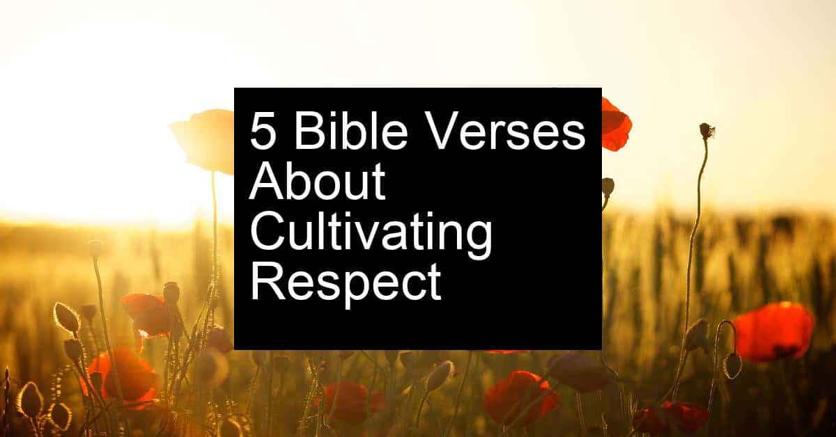 cultivating respect
