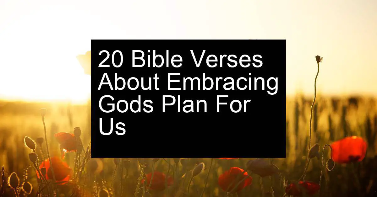 embracing gods plan for us