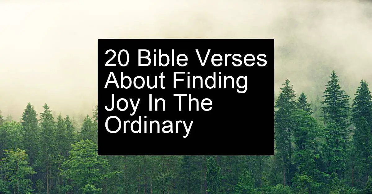 finding joy in the ordinary