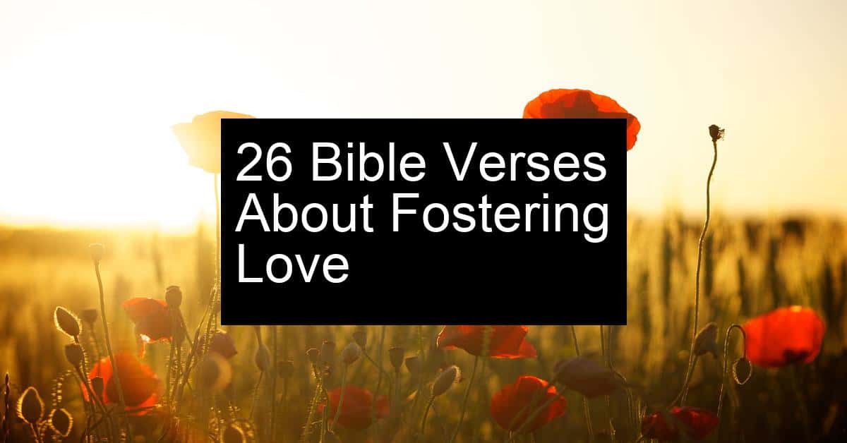 fostering love