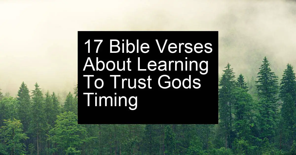 learning to trust gods timing