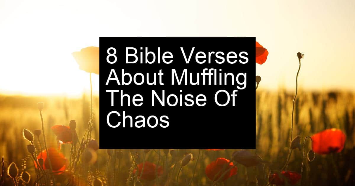 muffling the noise of chaos