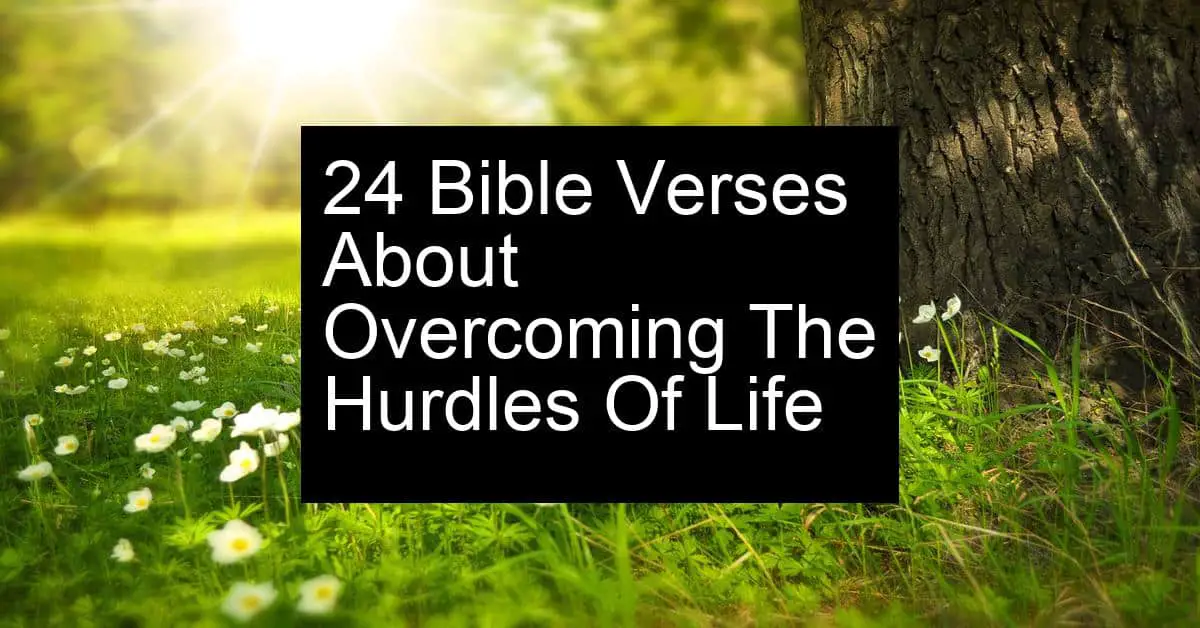 overcoming the hurdles of life