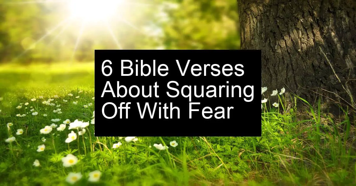 squaring off with fear