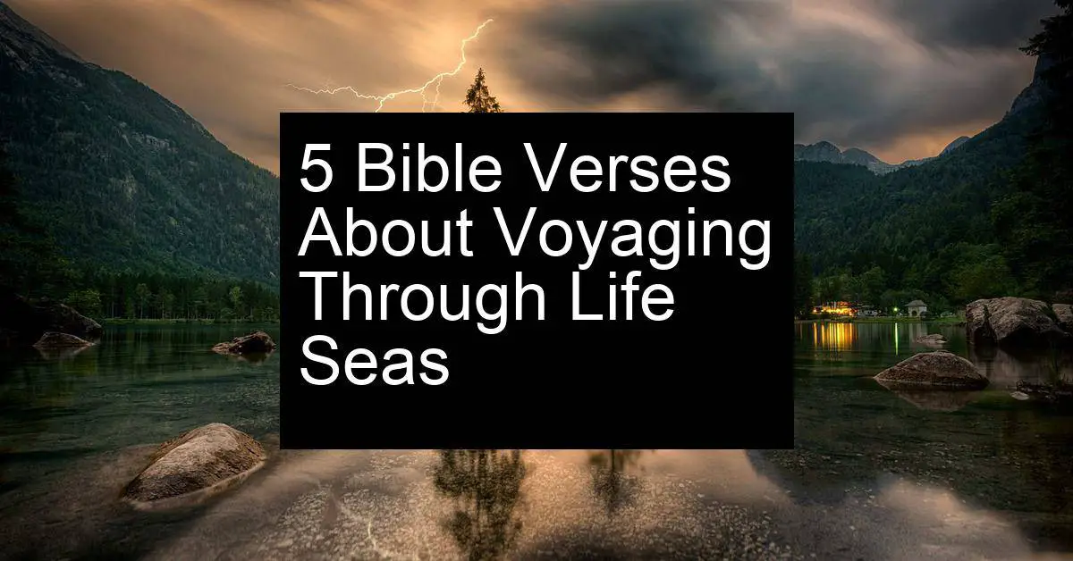 voyaging through life seas