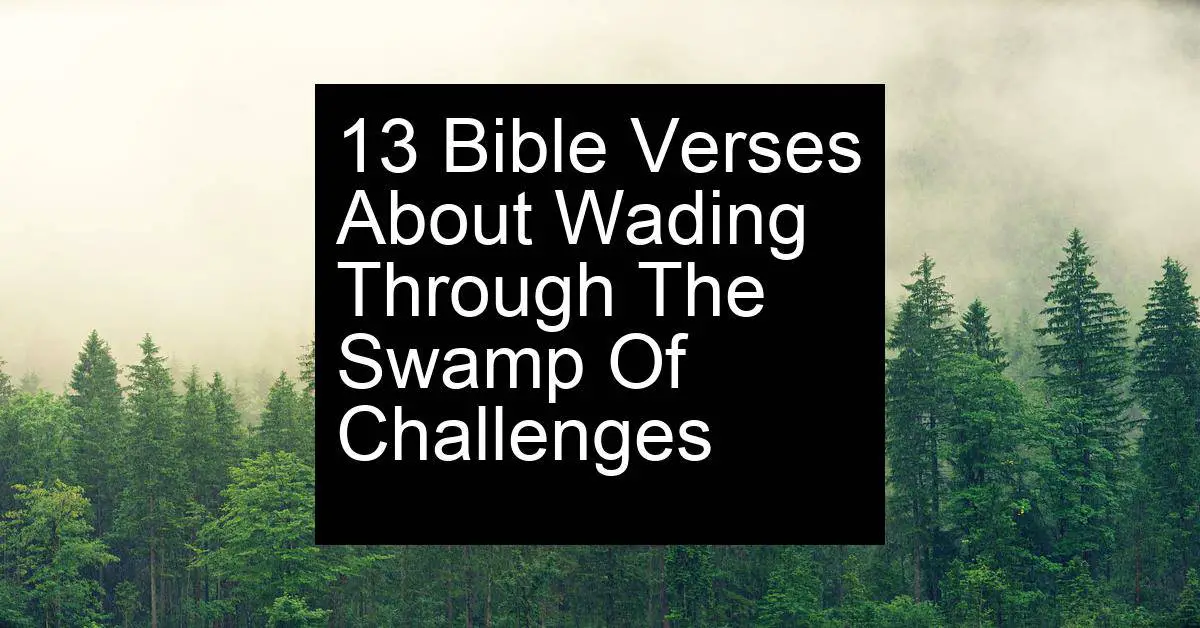 wading through the swamp of challenges