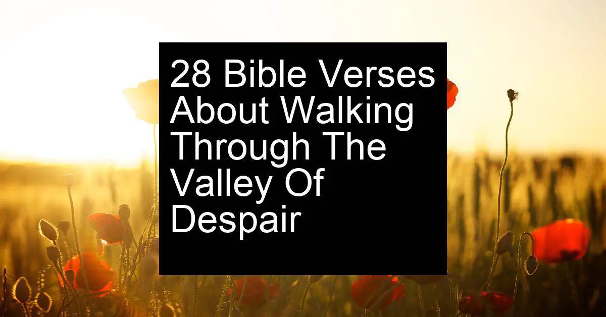 walking through the valley of despair