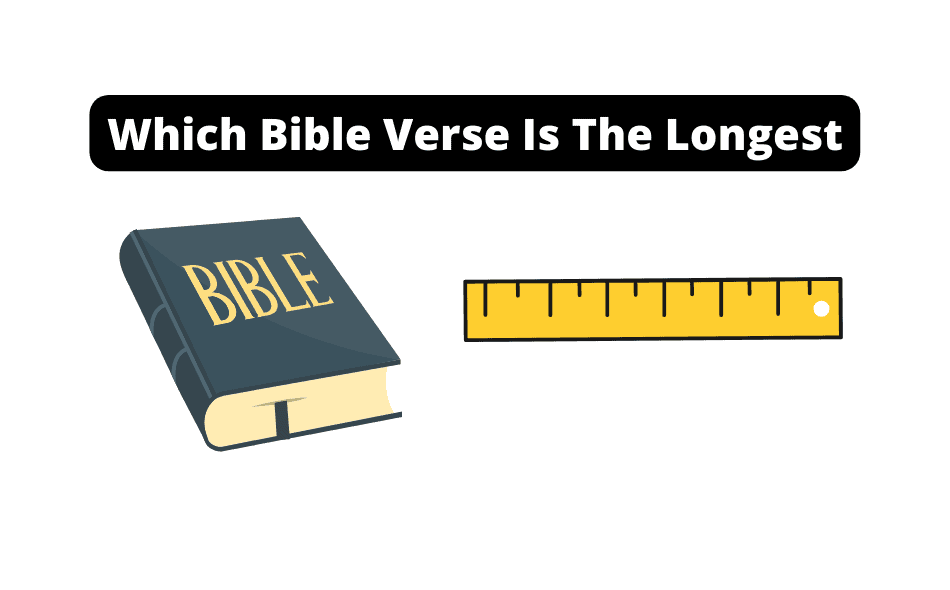 Which Bible Verse Is The Longest? [Depends On This]
